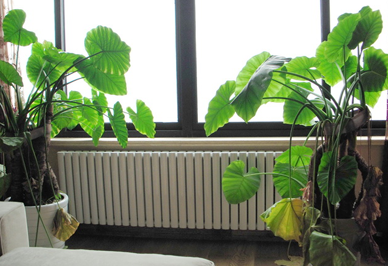 购买恒盛注册首要考虑的问题是安全