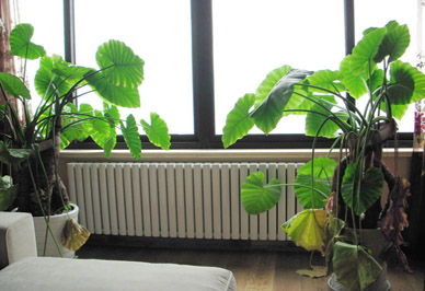 恒盛注册安装效果图